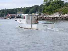 Maine Striper Fishing Charter